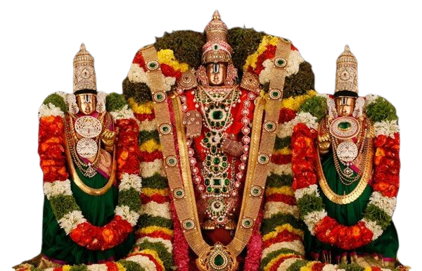 download__16_-removebg-preview (1)